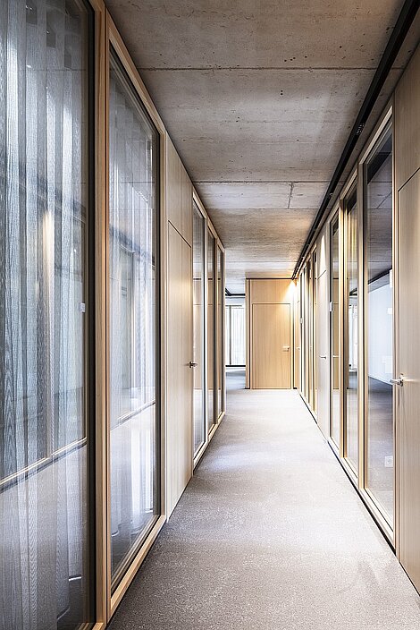 Moderner Büroflur mit Glaswänden, Holztüren und Beton-decke