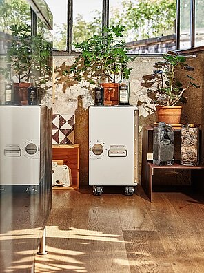 Weißer Trolley mit Pflanzen und Ölflaschen in hellem, rustikalem Innenraum vor Fenster