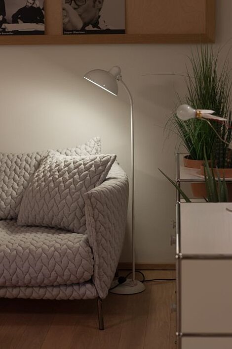 Gemütliches Wohnzimmer mit grauem Sofa, Stehlampe und Zimmerpflanzen auf Holzfußboden